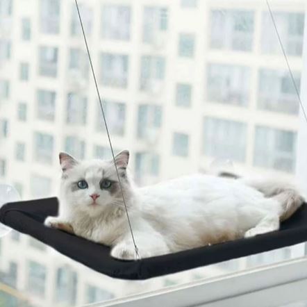 Hamac Chat - PetCatHangingBed™ - Noir - Mon Chatelier