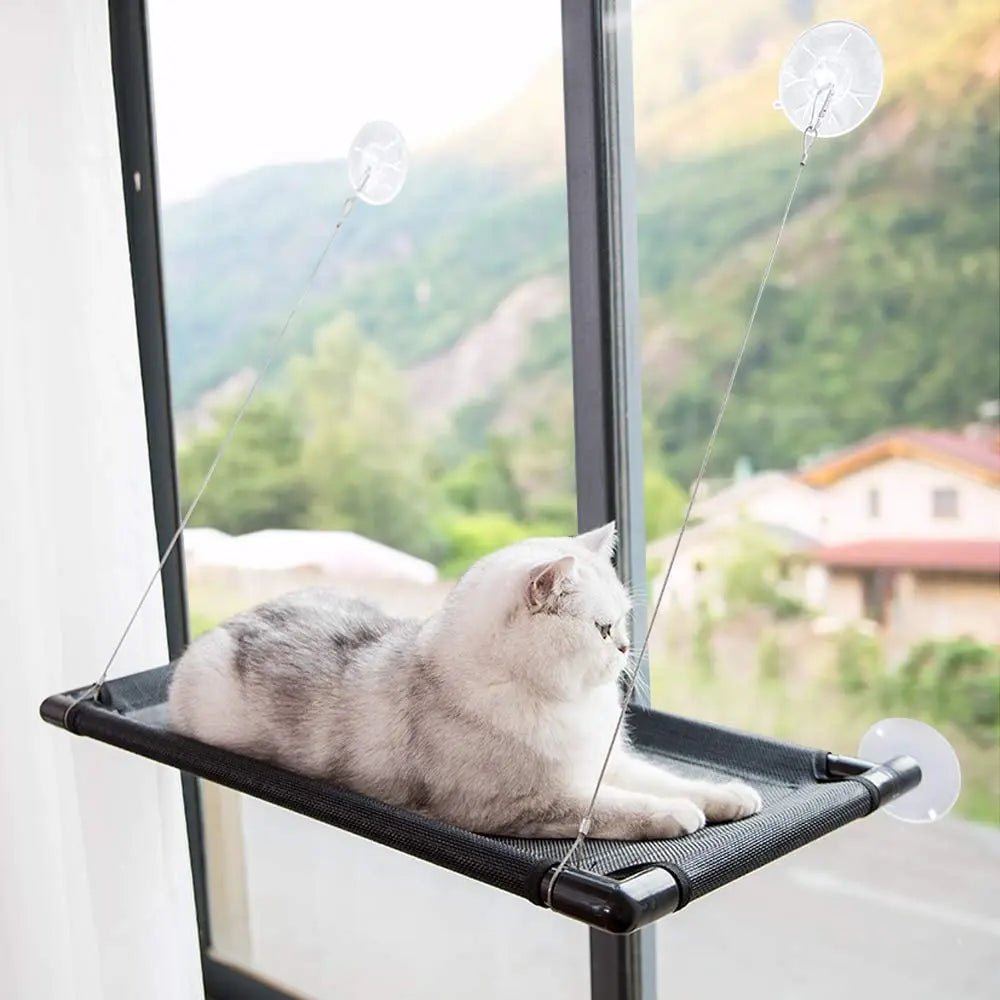 Hamac Chat - PetCatHangingBed™ - Noir - Mon Chatelier