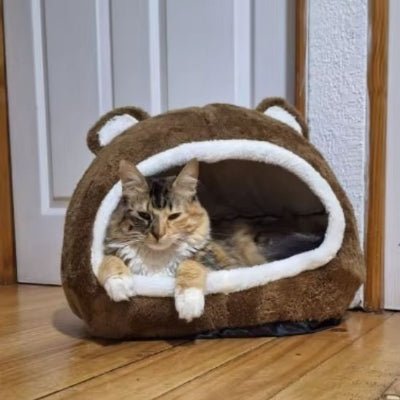 Panier pour chat | BearyHomeâą - Mon Chatelier
