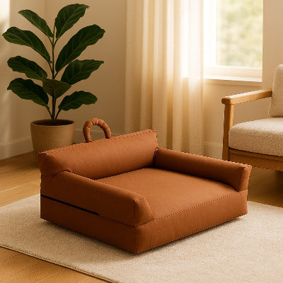 Canape Confort Design pour Chat Elegance Feline installe au salon