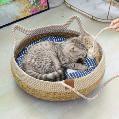 Chat Assis Dans Panier Chat StrawCatNest Bleu