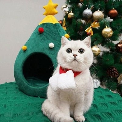 Chat blanc confortablement installe dans un lit chat en forme de sapin de Noel en velours vert