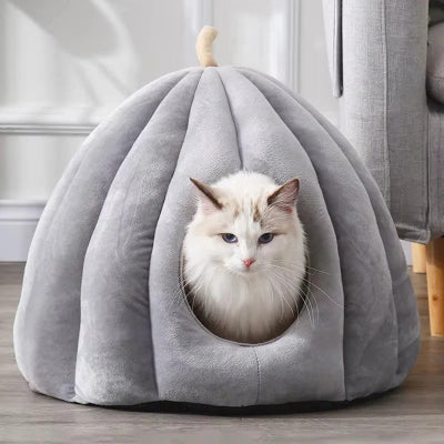 Chat blanc dans panier chat PumpkiNest gris design citrouille