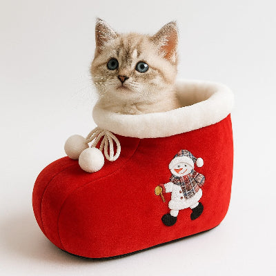 Chat-confortablement installe dans son lit botte de Noel festif et chaleureux