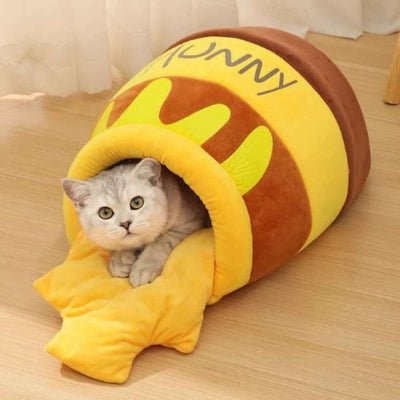 Chat couche paisiblement dans son lit HoneyPot design et ergonomique