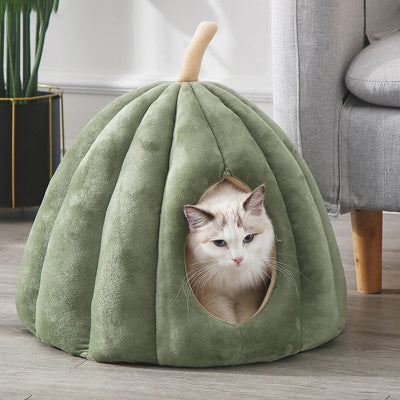 Chat gris dans panier chat citrouille PumpkiNest vert