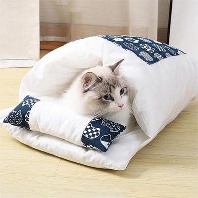 Lit pour chat Cosy Premium avec chat regardant de travers