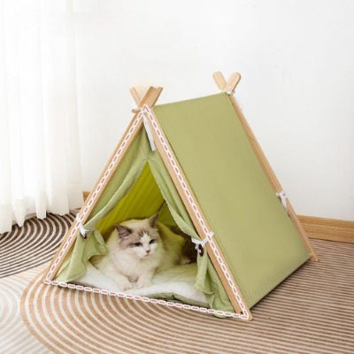 chat assis sous tente pour chat mon chatelier vert