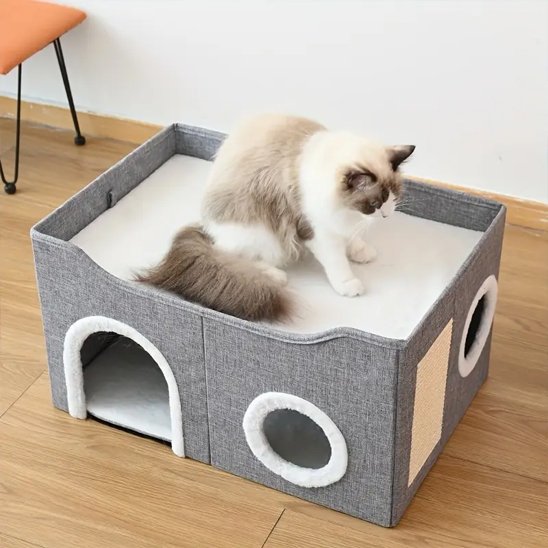 chat beige assis dessus de niche pour chat