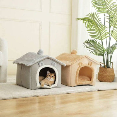 chat beige couche confortablement dans maison pour chat