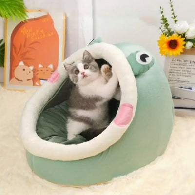 chat-debout-dans-Niche-pour-chat-vert