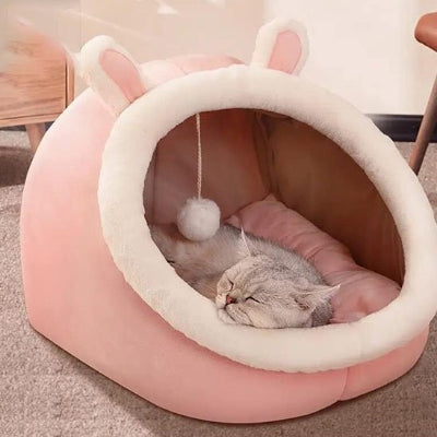 chat-endormi-dans-Niche-pour-chat