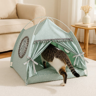 chat gris entre dans Tente pour Chat Anti Stress vert