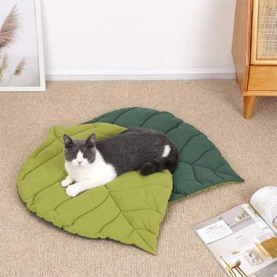 Coussin Chat | Ultra - Confort Premium - Mon Chatelier