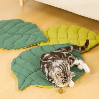Coussin Chat | Ultra - Confort Premium - Mon Chatelier