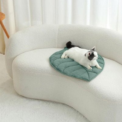 Coussin Chat | Ultra - Confort Premium - Mon Chatelier