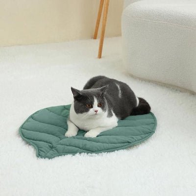 Coussin Chat | Ultra - Confort Premium - Mon Chatelier