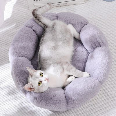 Coussin pour chat | BloomyCat™ - Mon Chatelier