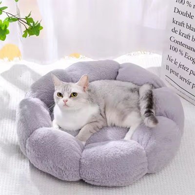 Coussin pour chat | BloomyCat™ - Mon Chatelier