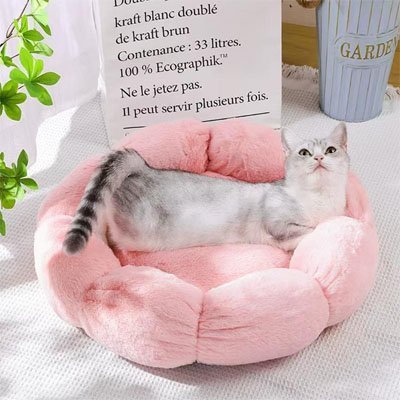 Coussin pour chat | BloomyCat™ - Mon Chatelier