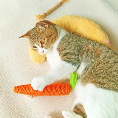 Coussin pour chat | Orthopédique Ultra - Doux - Mon Chatelier