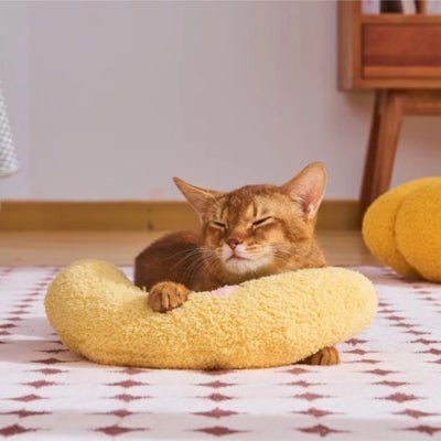 Coussin pour chat | Orthopédique Ultra - Doux - Mon Chatelier