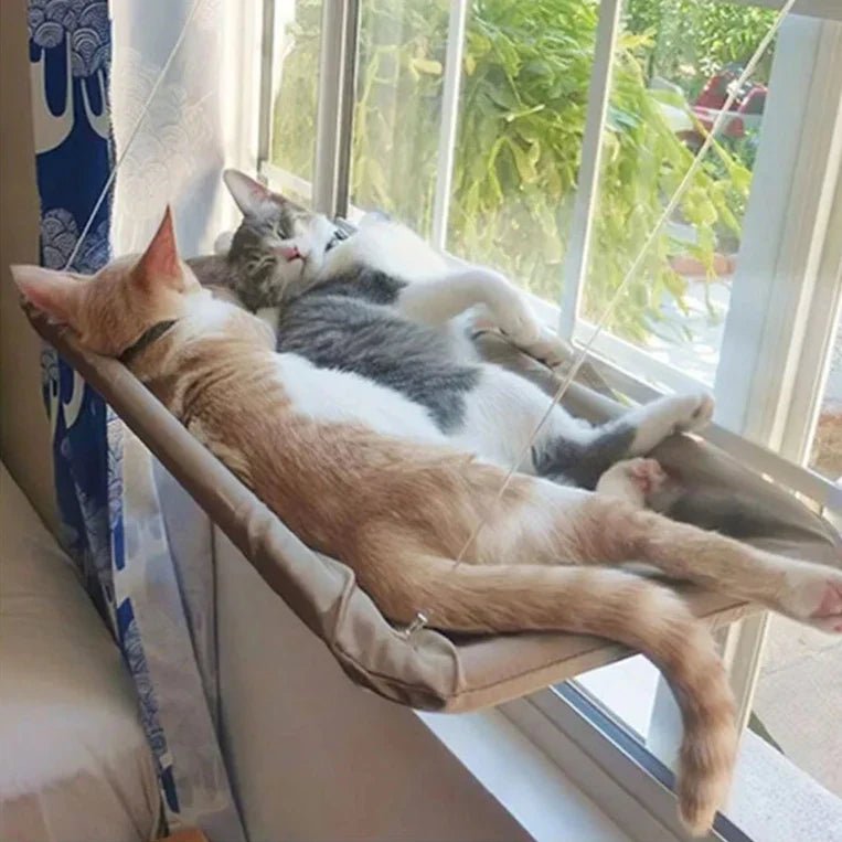 Hamac Chat - PetCatHangingBed™ - Jaune Clair - Mon Chatelier