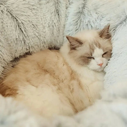 Lit pour Chat - CatLitTunnel™ - Gris - Mon Chatelier