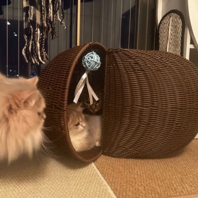 Panier osier pour chat | Féli'Zen™ - Mon Chatelier