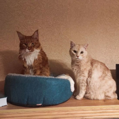 Panier pour chat | ConvertibleCosy™ - Mon Chatelier