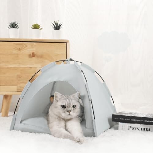 Tente Chat - CatTentBed™ - Gris Cyan - Mon Chatelier